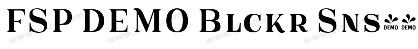 FSP DEMO Blckr Sns字体转换 FSP DEMO Blckr Sns字体转换
